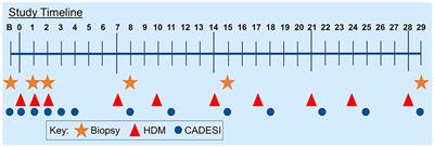 Trichohyalin gene expression is negatively correlated with the severity of dermatitis in a canine atopic dermatitis model